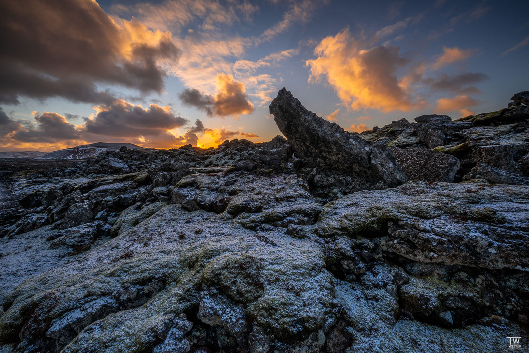 Die Mooslandschaften auf den Lava-Steinen sind immer wieder toll anzusehen  (B2960)