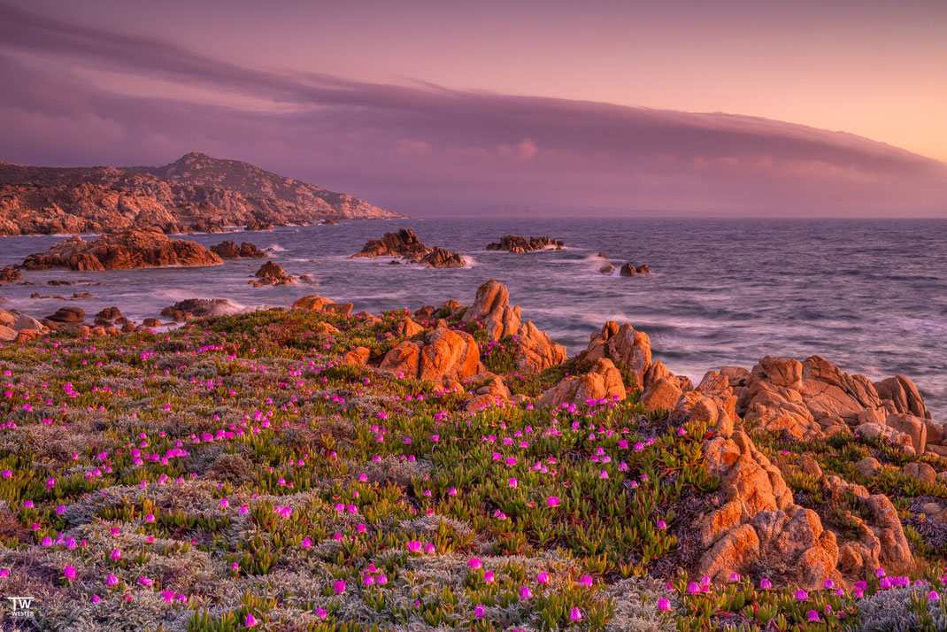12 Absoluter Farbkontrast: an diesem Abend leuchtete neben mir der Himmel rosa-rot und dadurch wurde die Landschaft total magenta ausgeleuchtet