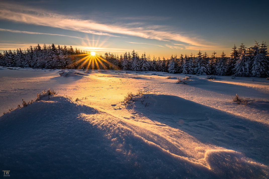 Die ersten Sonnenstrahlen fallen auf die Hochheide (B2498)