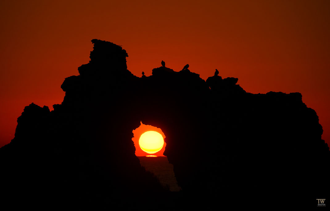 4. Die aufgehende Sonne weckt auch die tierischen Bewohner der Sandgesteinsfelsen