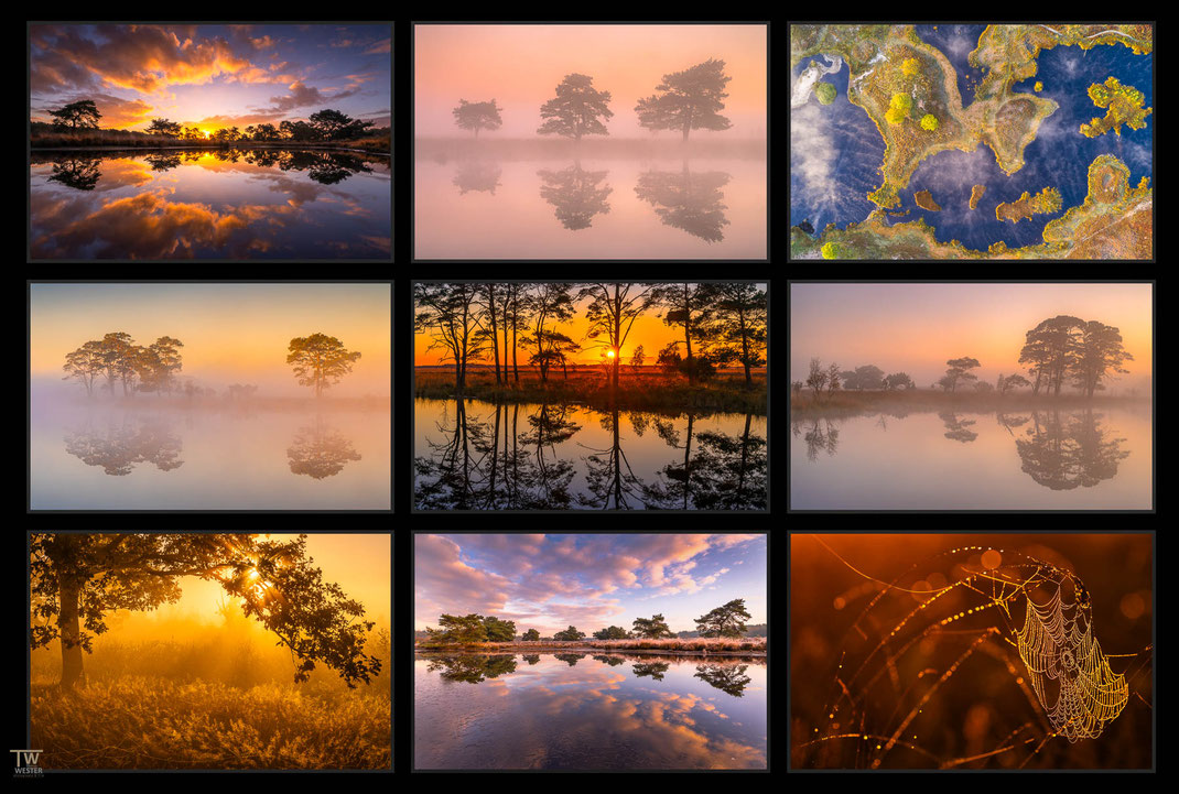 Das Bild zeigt eine Collage von Landschaftsfotografien aus den Heidegebieten der östlichen Niederlande zwischen Limburg und Drenthe