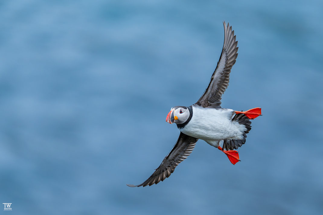 8 So nahmen wir schnell noch ein paar Flugfotos mit