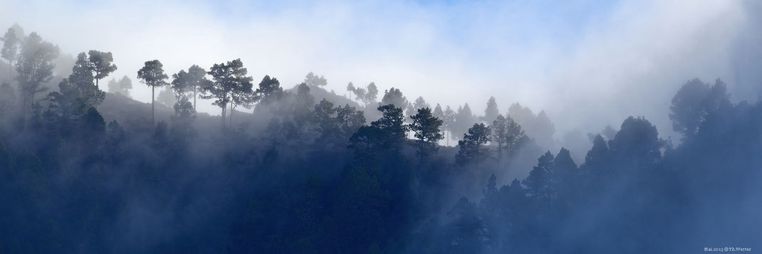 La Palma, in den Wolken (B20)