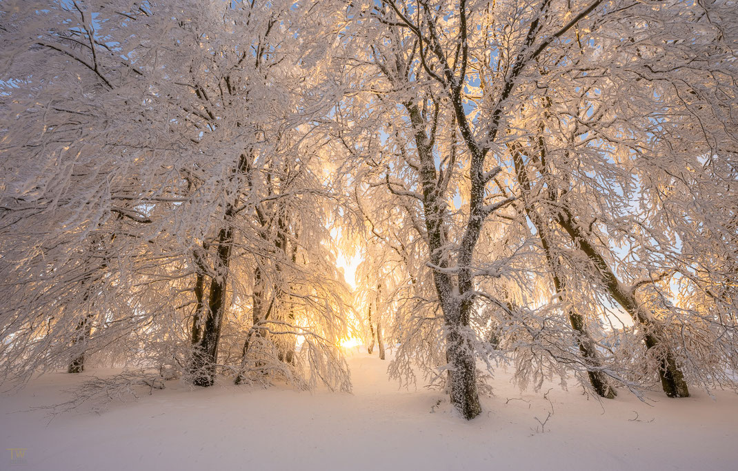 6 Danach ging es den Berg hinauf; die Farben wurden sehr warm im weichen Abendlicht…