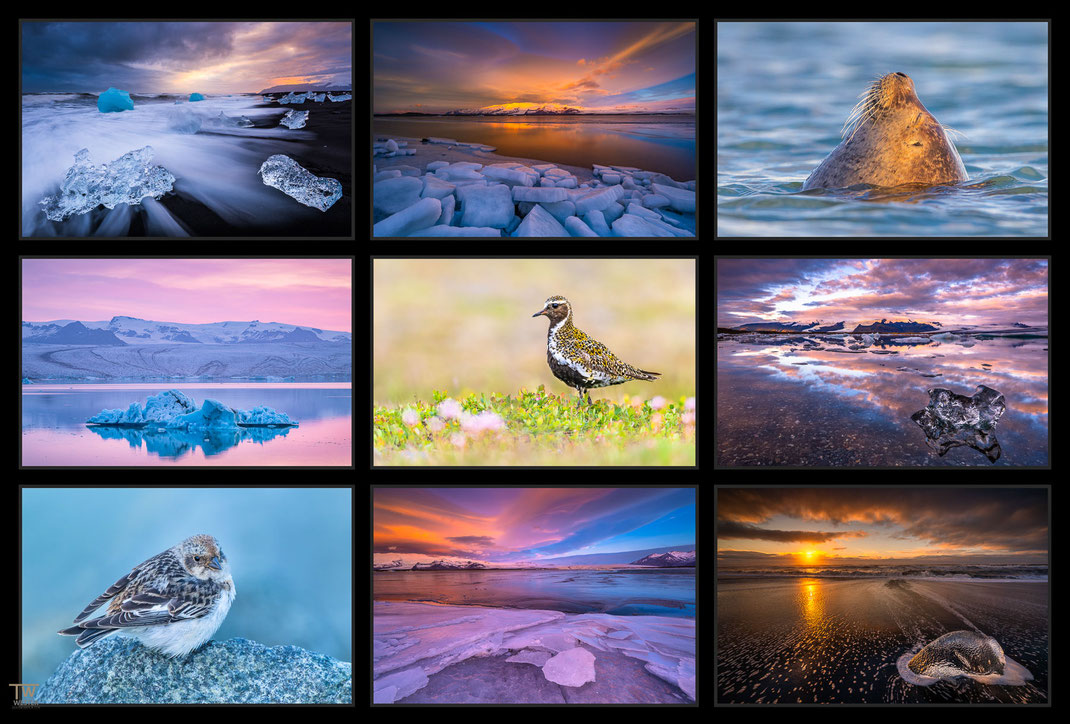 Das Bild zeigt eine Collage von Seascape Aufnahmen aus dem Südosten Islands genauer gesagt Jökulsarlon mit Wildlife und Landschaftsfotografien