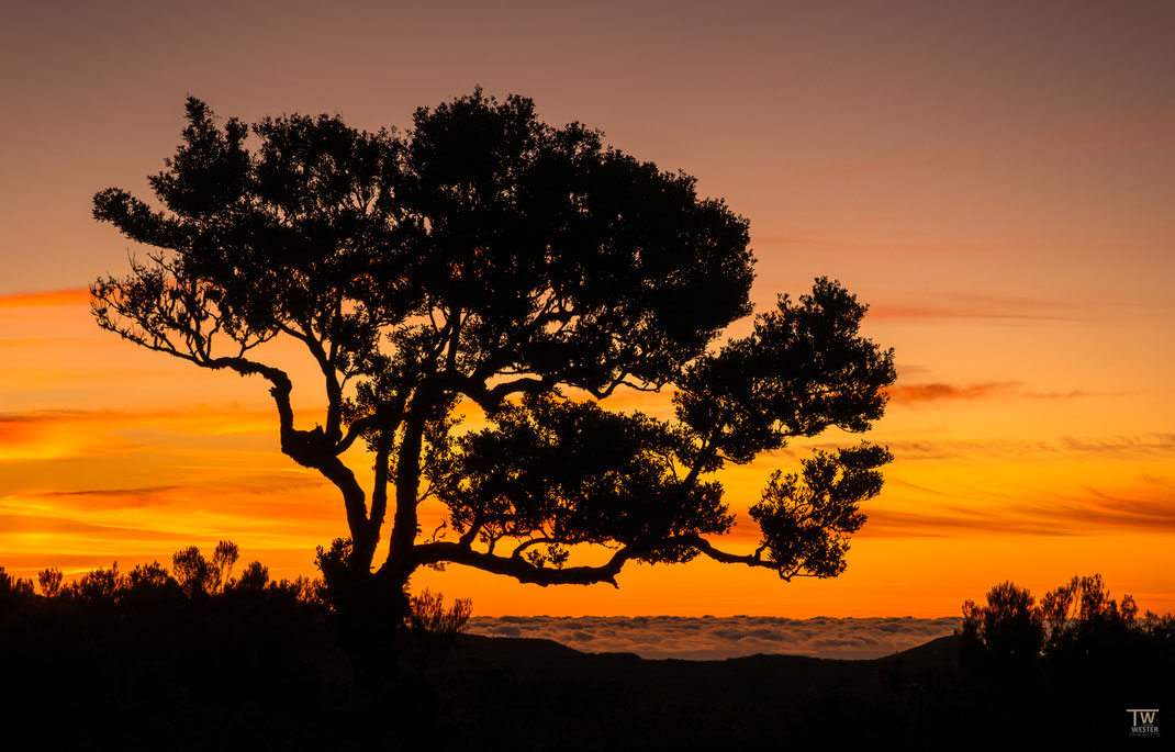 14 Nur noch die Silhouette wurde am späten Abend in diesem schönen Sonnenuntergang sichtbar.