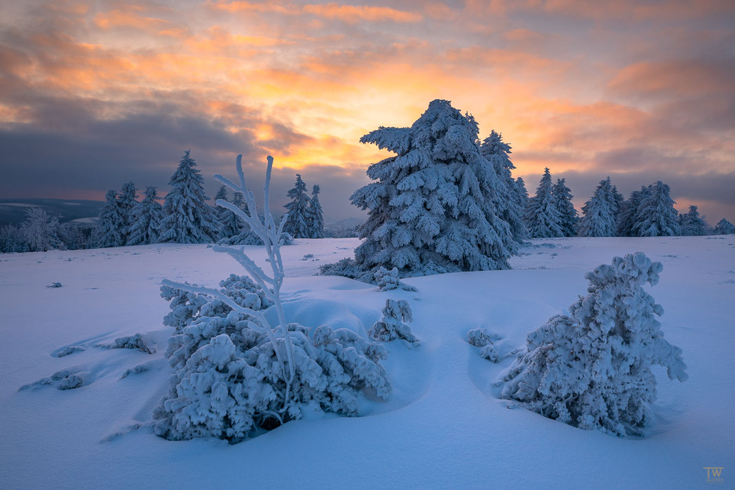 Und dieses war tatsächlich das letzte Bild am letzten Abend im Schnee, es war wunderschön (B2488)