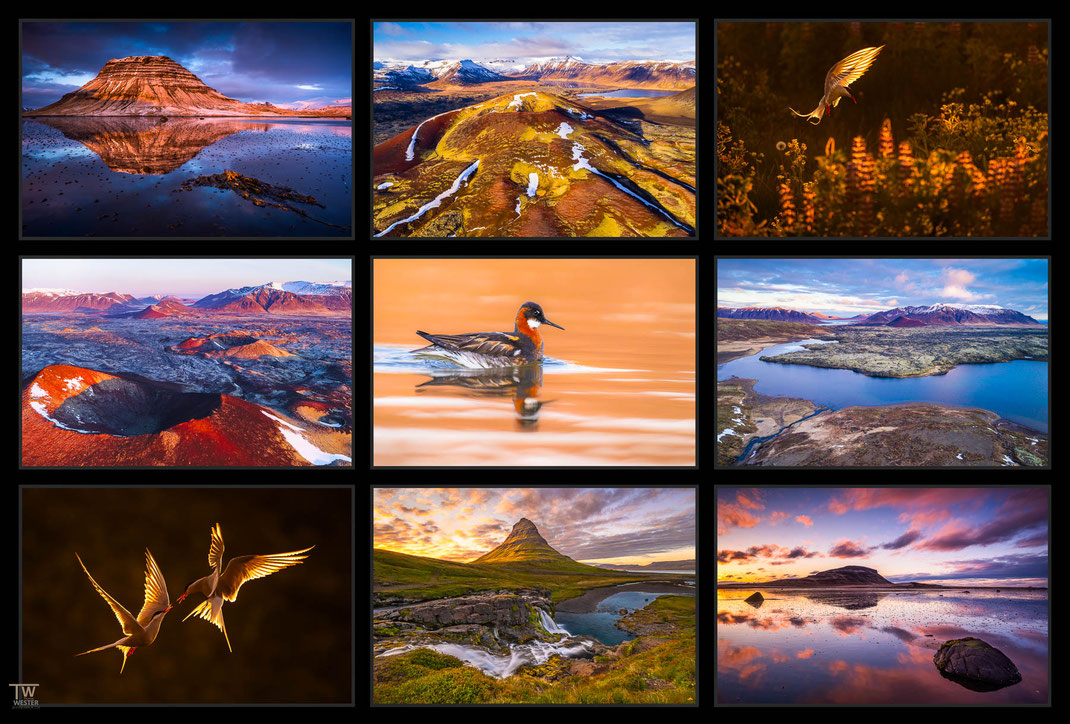 Das Bild zeigt eine Collage von Landschaftsfotografien und Wildlife bzw Vogel Fotos aus Island genauer Snaefellsnes