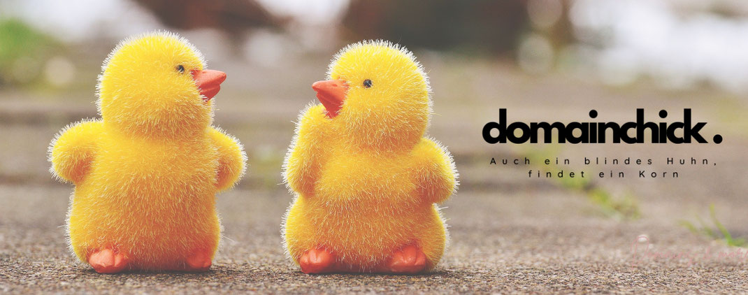 Domainchick.de: Auch ein blindes Huhn, findet ein Korn. Trendige Domainnamen mit Potential finden & kaufen. Der Start Ihres Business beginnt mit einer aussagekräftigen Domain. Find and buy trendy domain names with potential.