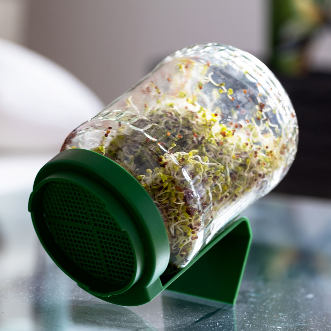 Keimglas für Sprossen Brokkoli & Brokkolisprossen sind für ihre heilende und vorbeugende Wirkung bekannt. Unter den Keimlingen sind die Brokkolisprossen in vielen Kategorien Spitzenreiter. Dank der wertvollen Inhaltsstoffe liefern sie einen Boost für das Immunsystem | Hot Port Life & Style | Deutscher Mode & Lifestyle Blog