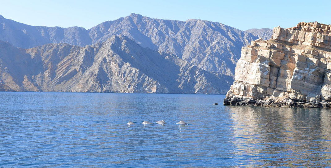 Réveil dans les Fjords Omanais