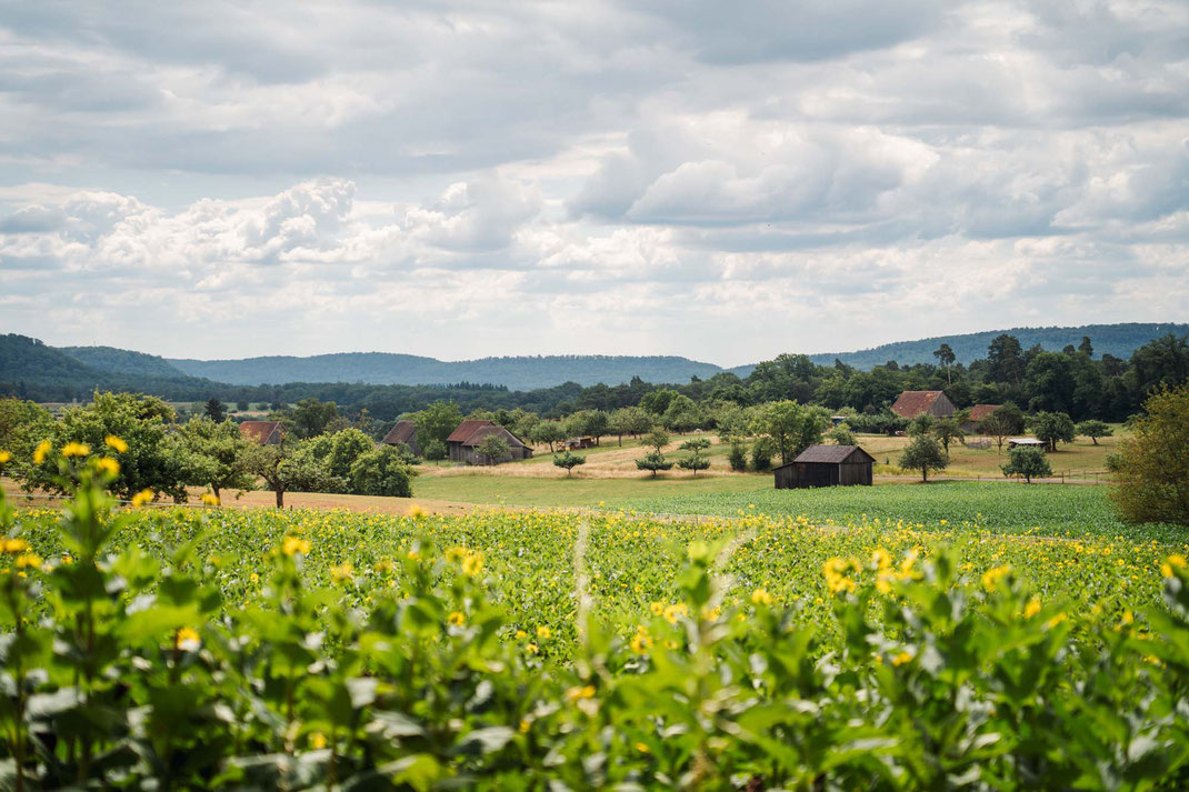 Deutschland; Baden-Württemberg; Wandern; Tourenplanung