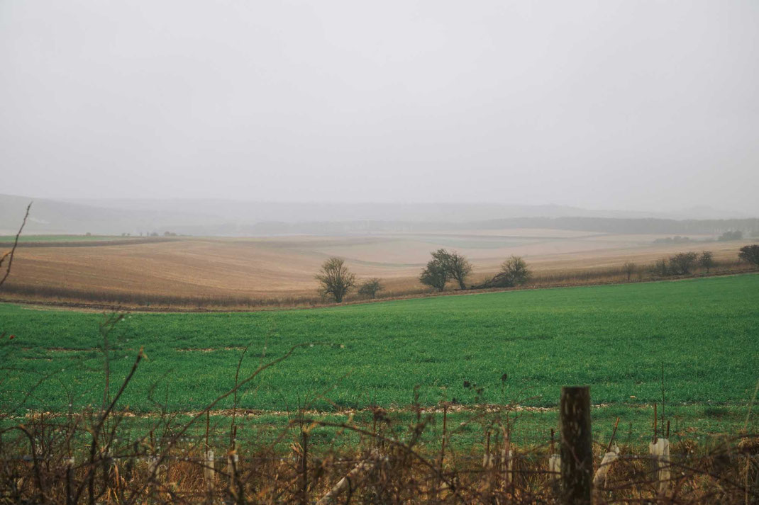 Großbritannien; England; Wandern; Tourenplanung