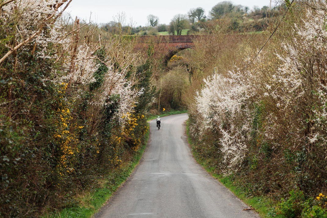 Irland; Radfahren; Tourenplanung; Bikepacking; EuroVelo 1