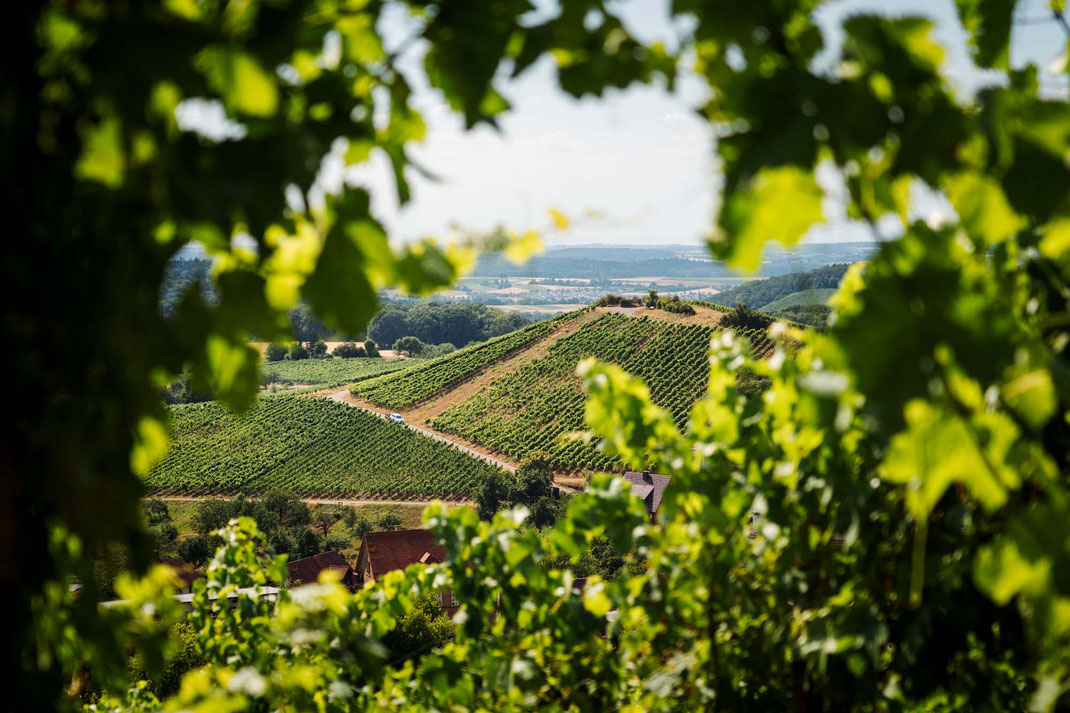 Deutschland; Baden-Württemberg; Wandern; Tourenplanung