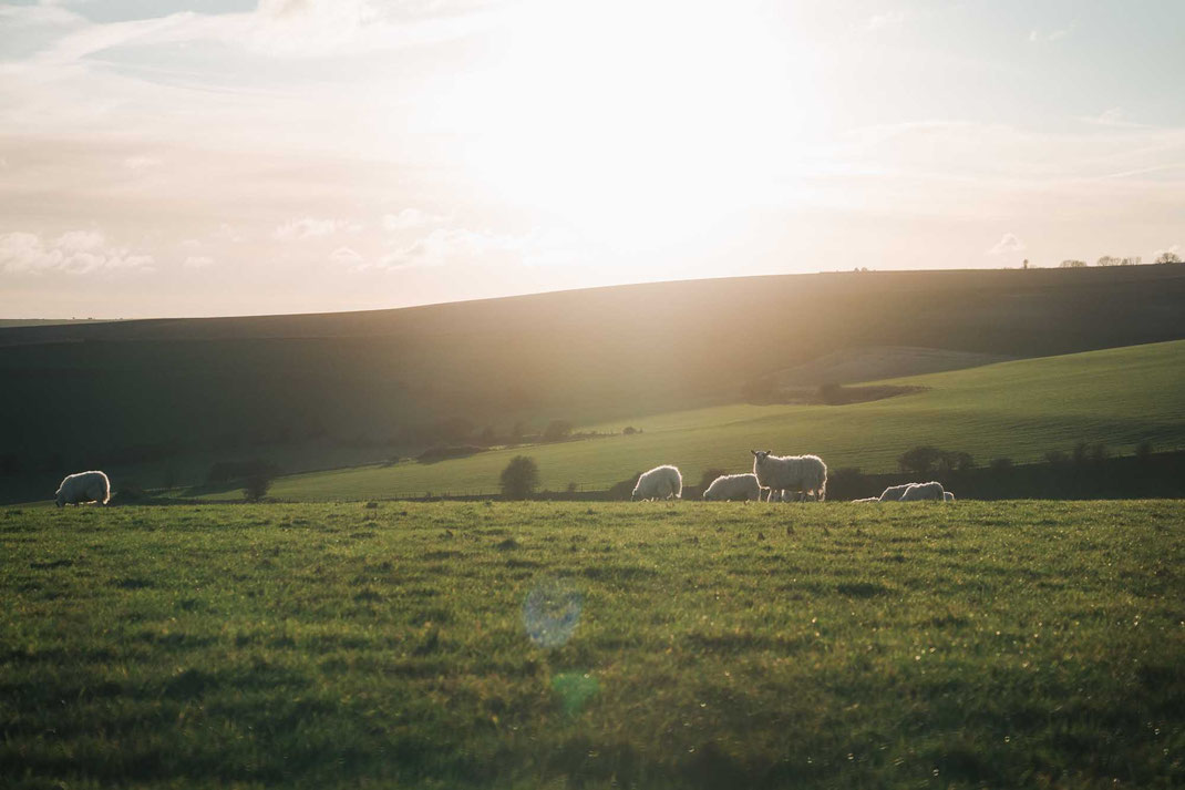 Großbritannien; England; Wandern; Tourenplanung