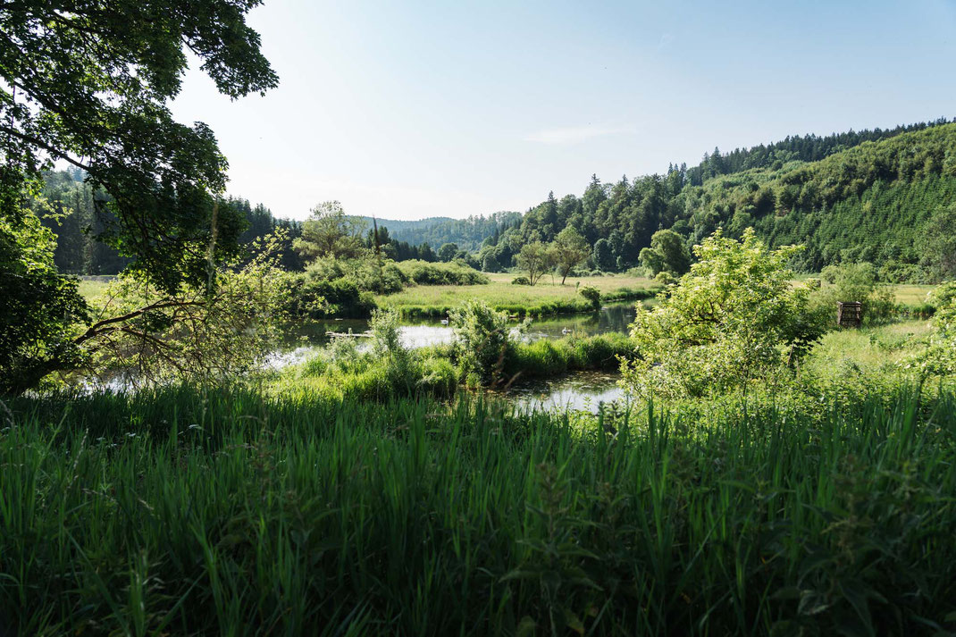 Deutschland; Baden-Württemberg; Radfahren; Tourenplanung; Schwäbische Alb; Bikepacking