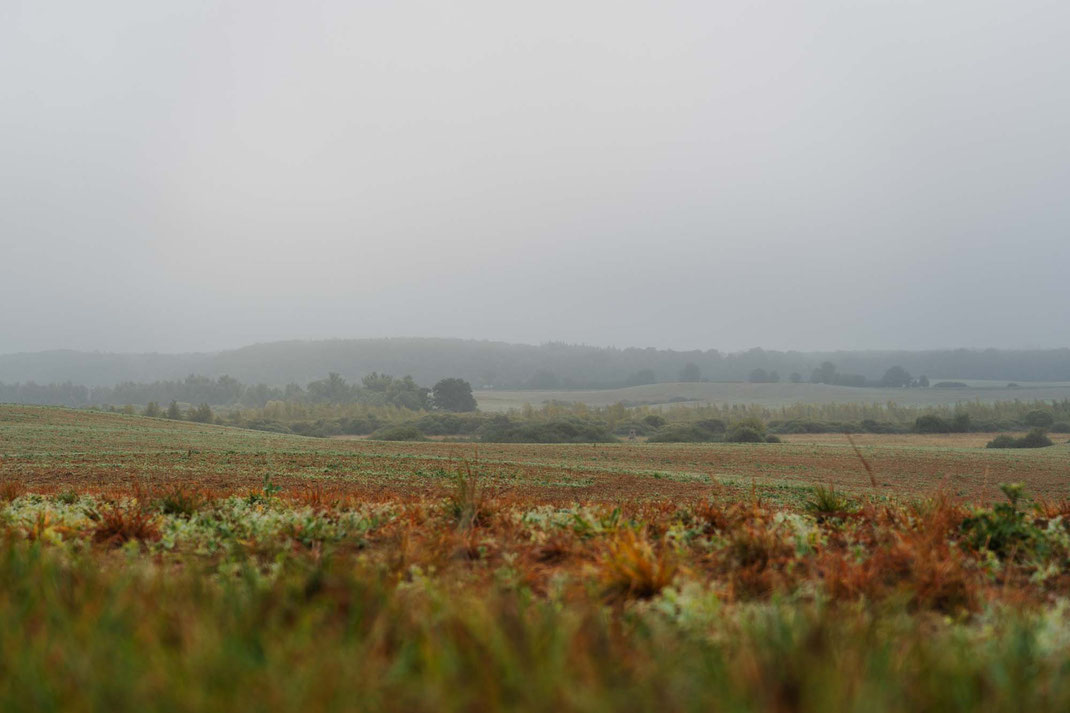 Deutschland; Mecklenburg-Vorpommern; Tourenplanung, Fahrradtour, Graveln