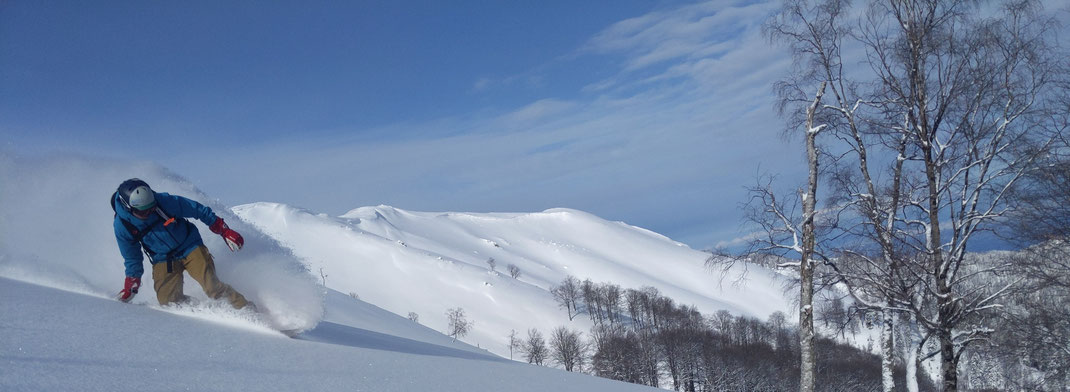 Japanese Trees, Freeride, Bakhmaro, powderproject.ch