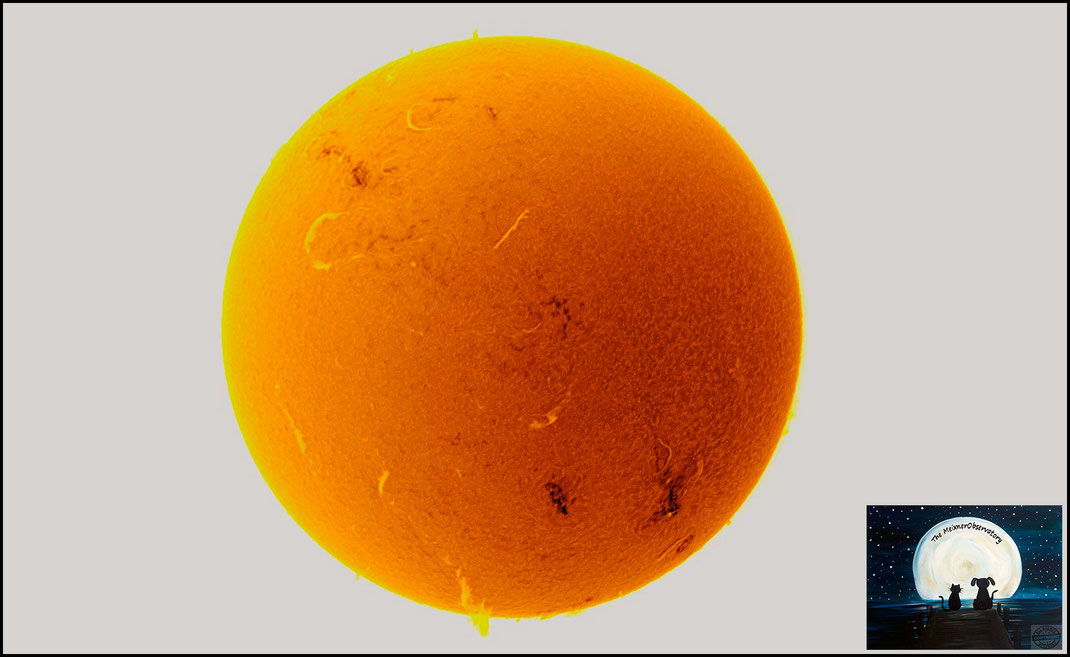 Sonne H-Alpha Aufnahme - 1. Aufnahme mit dem Acuter Phönix Elite Teleskop   - MeixnerObservatorium 