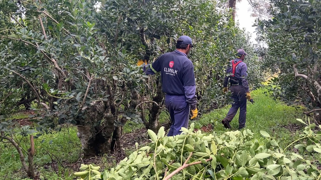 Foto: Joaquín Valdez - Klimiuk Infusiones