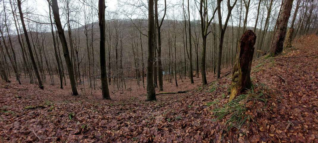 Wellergrund, gegenüber liegt die Südwehe