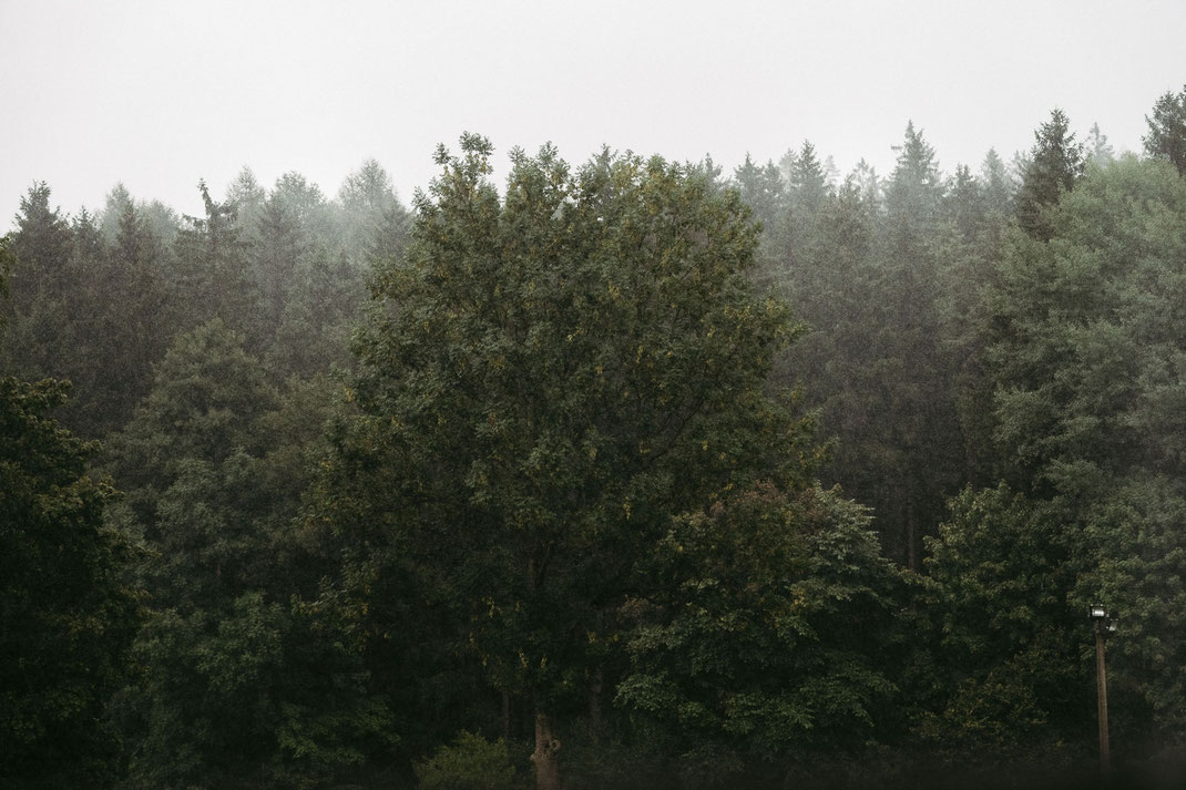 Blick aus dem Fenster: starker Wind, und viel Regen - aber wir haben uns nicht aus der Ruhe bringen lassen ;)