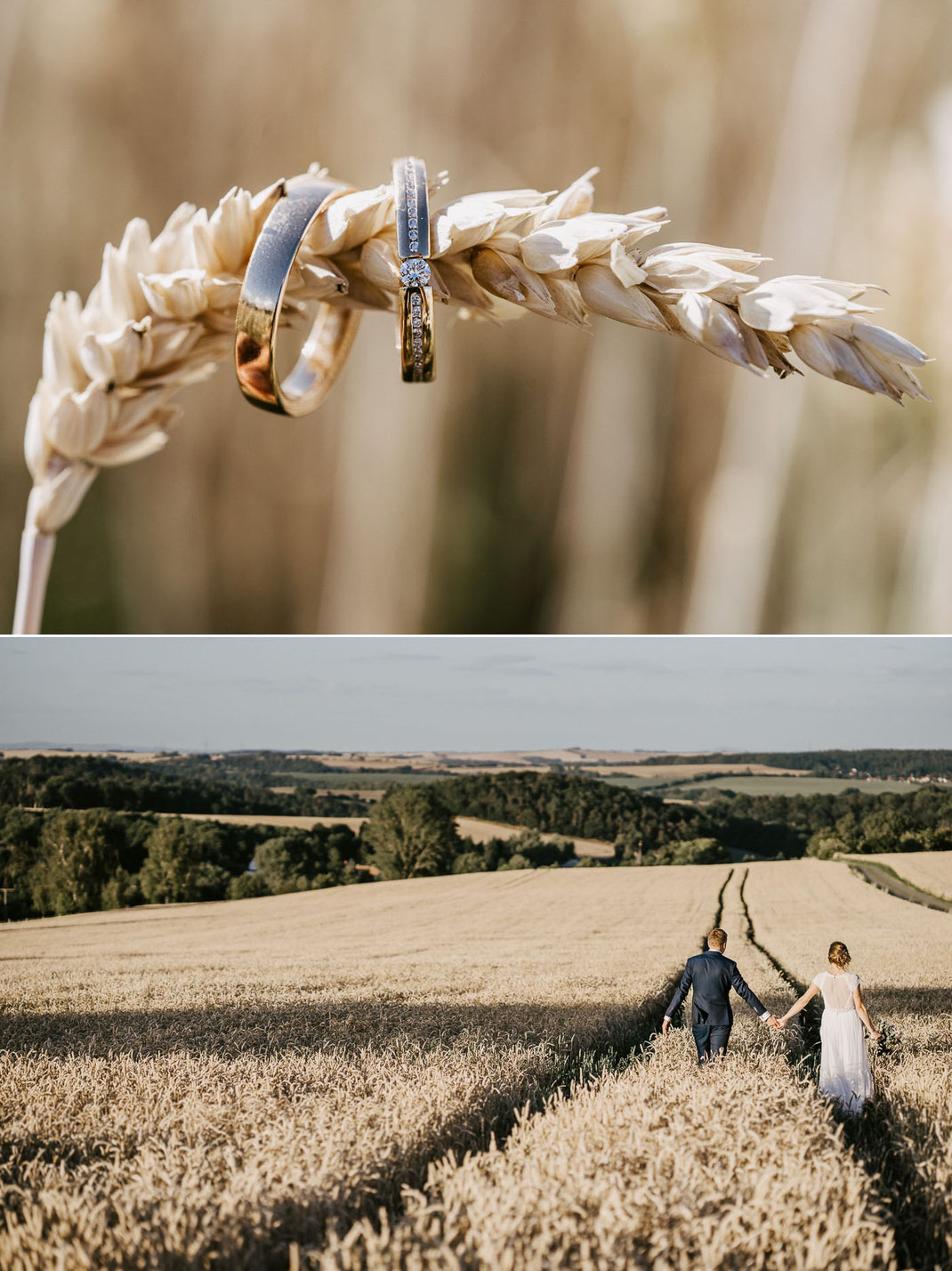 Makro-Aufnahme: Die goldenen Eheringe im Fokus: Hochzeitsdetails künstlerisch festgehalten vom Hochzeitsfotografen Ben Pfeifer.