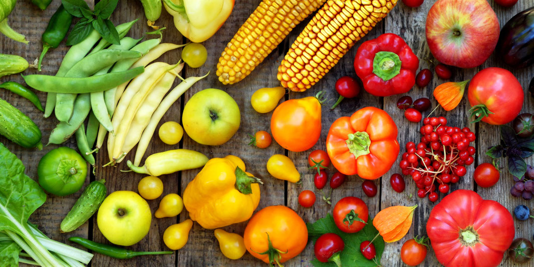 grünes, gelbes und rotes Gemüse und Obst, Gurken, Mangold, Bohnen, Paprika, Tomaten, Äpfel, Beeren, Trauben