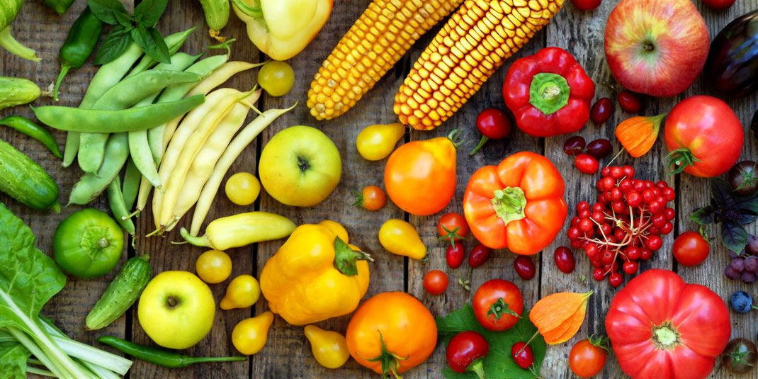 grünes, gelbes und rotes Gemüse und Obst, Gurken, Mangold, Bohnen, Paprika, Tomaten, Äpfel, Beeren, Trauben