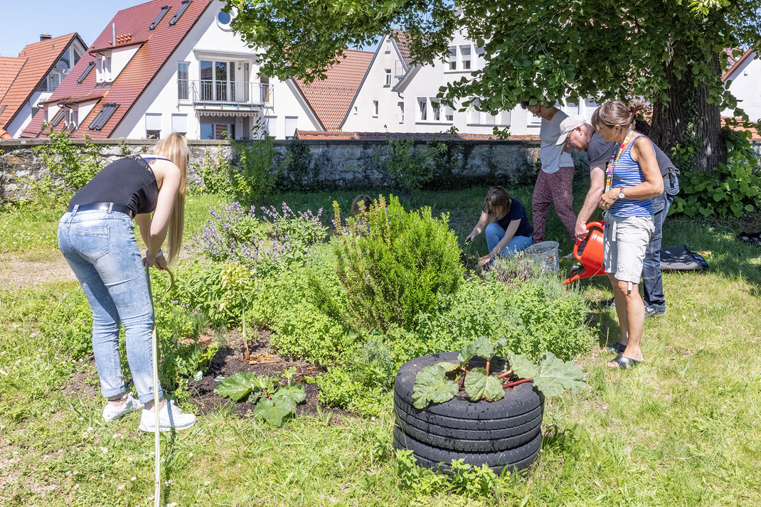 SAF Kirchheim - Bildung für nachhaltige Entwicklung - Kräutergarten