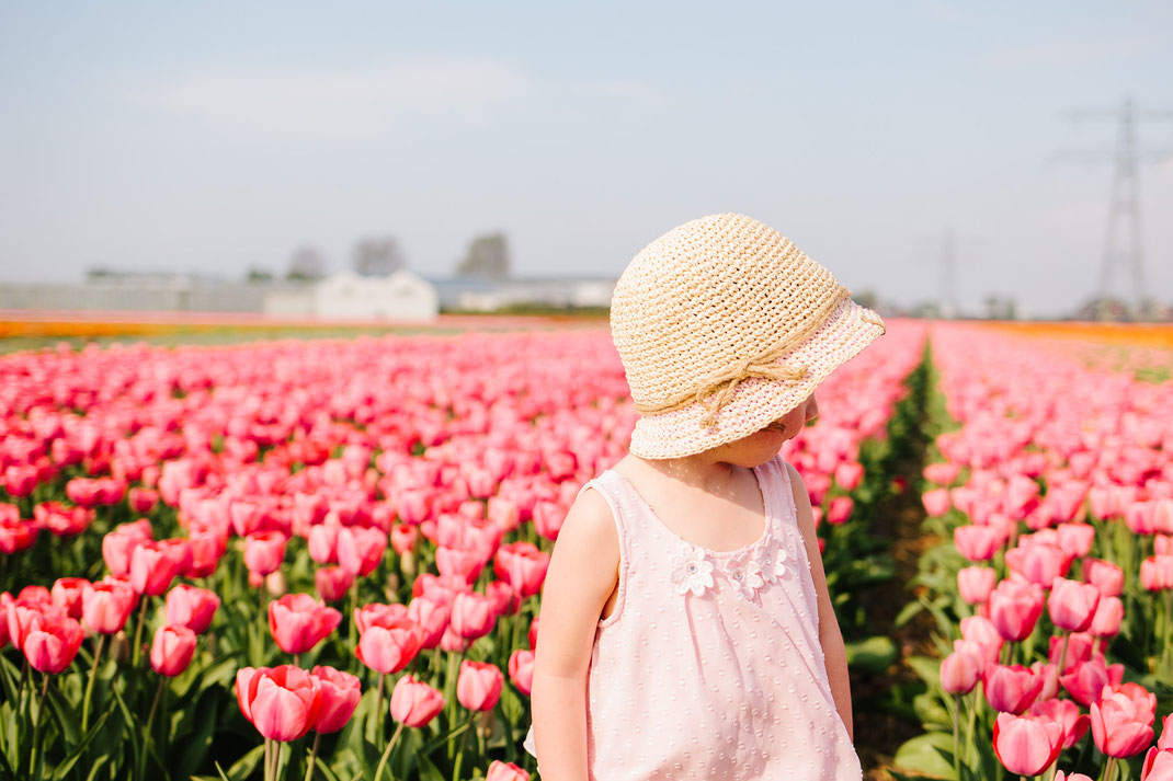 Keukenhof Lisse Tulips