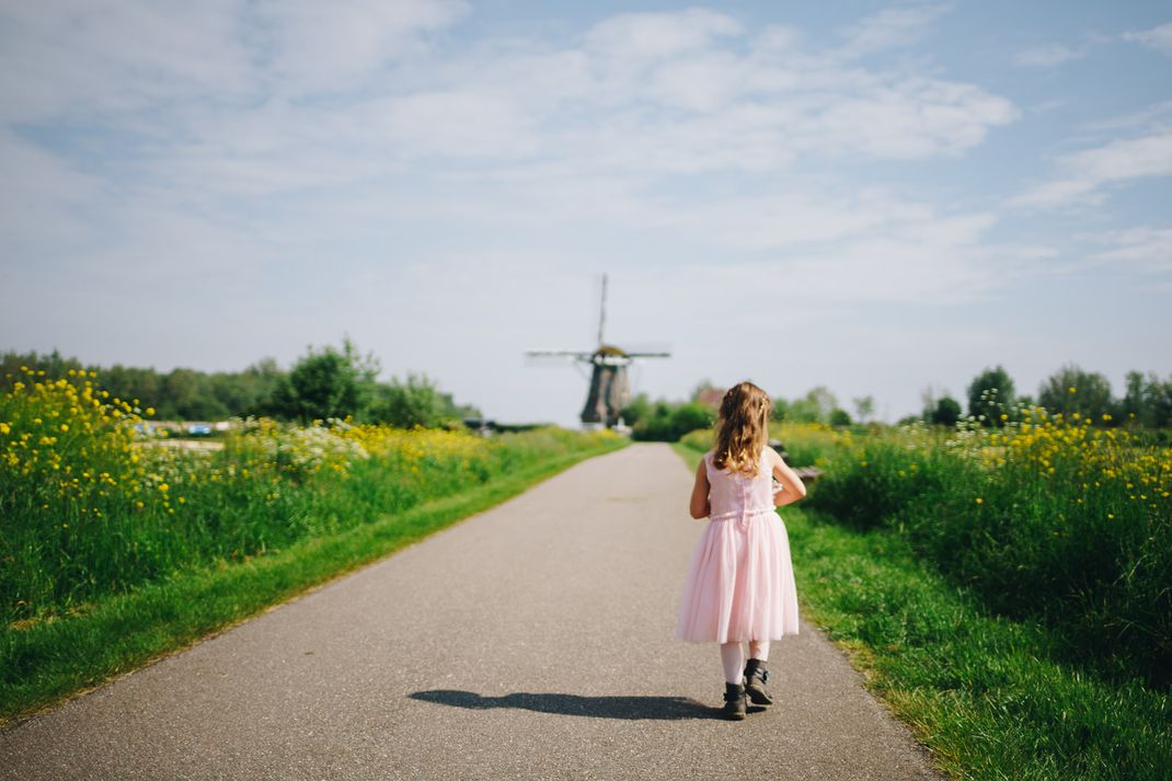 dutch landscape Leiden