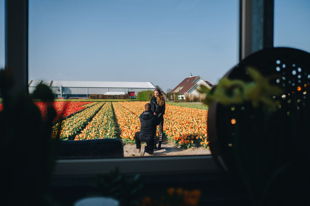 Surprise proposal tulip fields