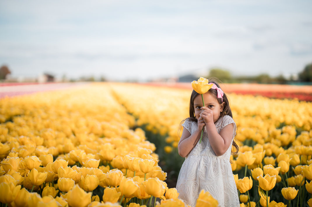Kuekenhof tulip shoot Voorhout
