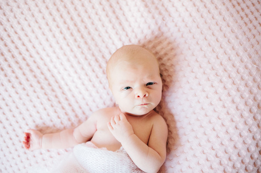 newborn shoot Noordwijk