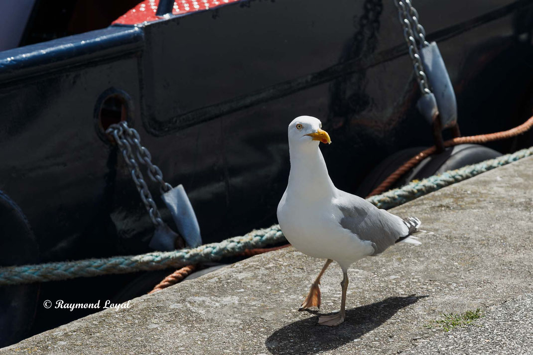 Travemünde fotografie