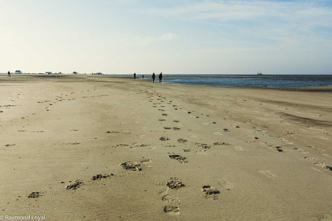 Sandbank St. Peter Ording