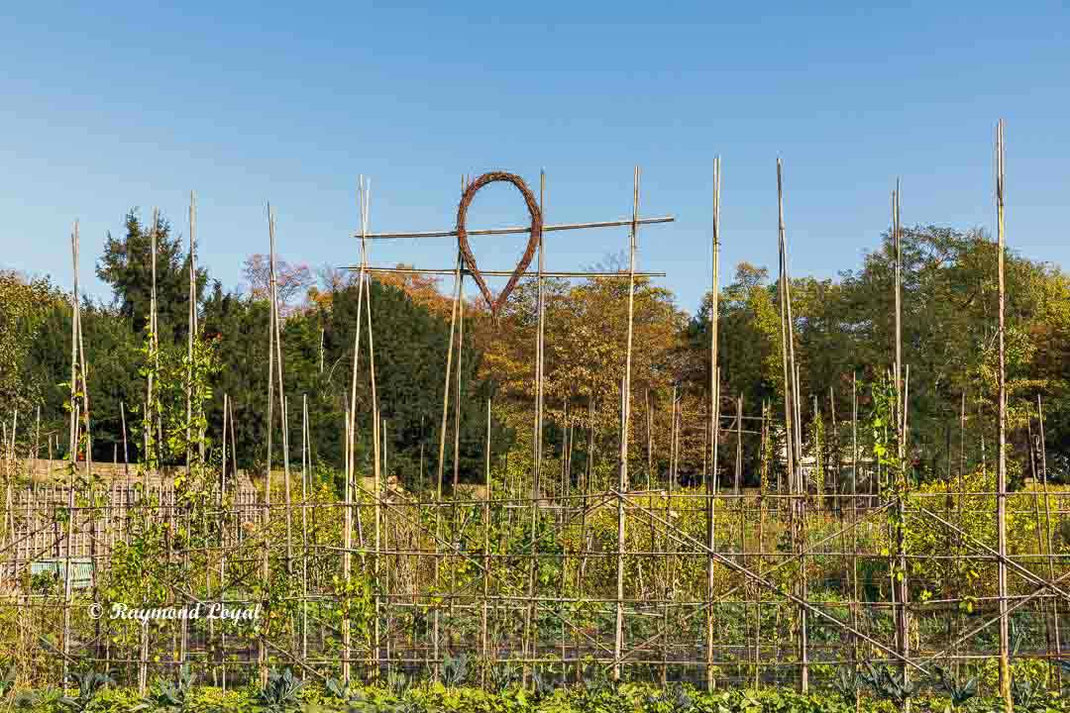 benrath palace kitchen garden