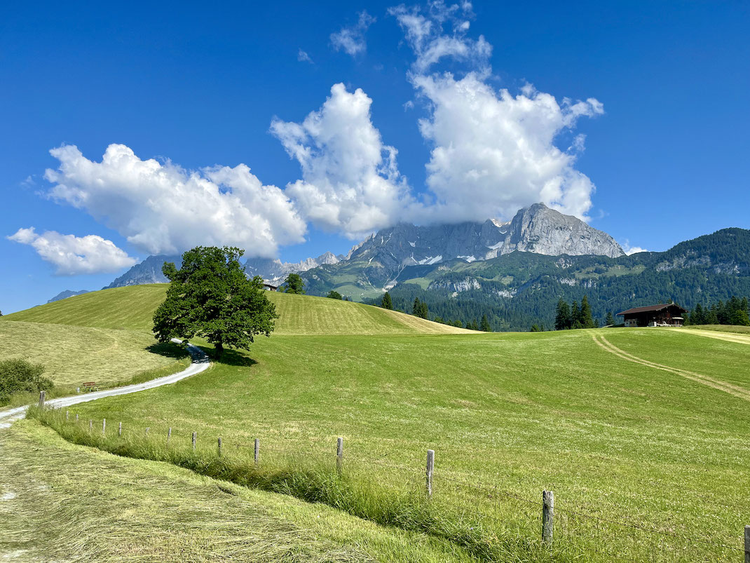 Blick auf das Kaisergebirge