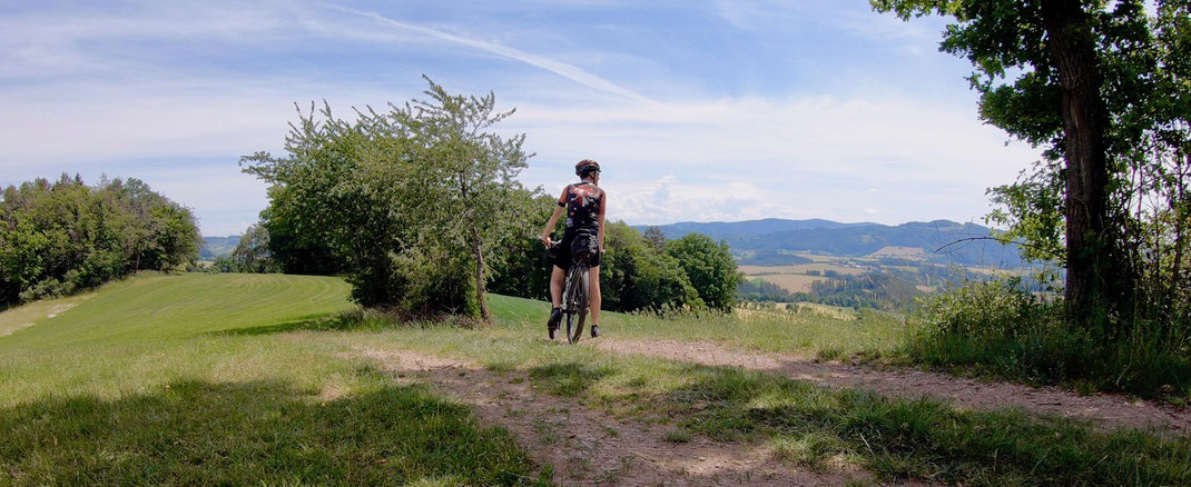 Berghuhn, Trans Bayerwald