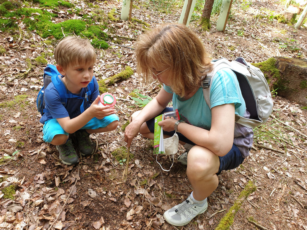 Im Wald gab es einiges zu entdecken (Foto: Olivia Dieser)