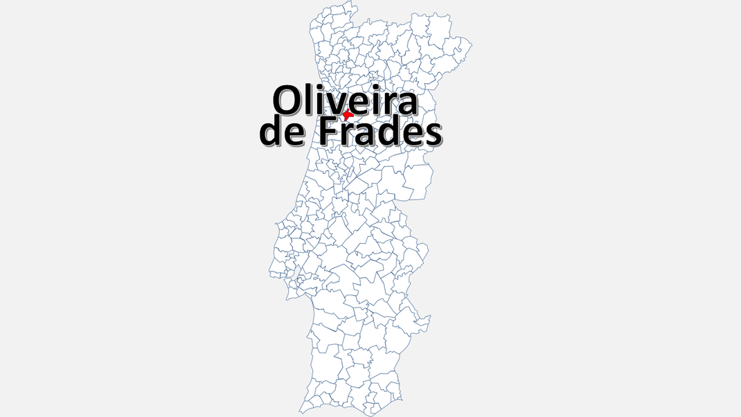 Concelho de Oliveira de Frades