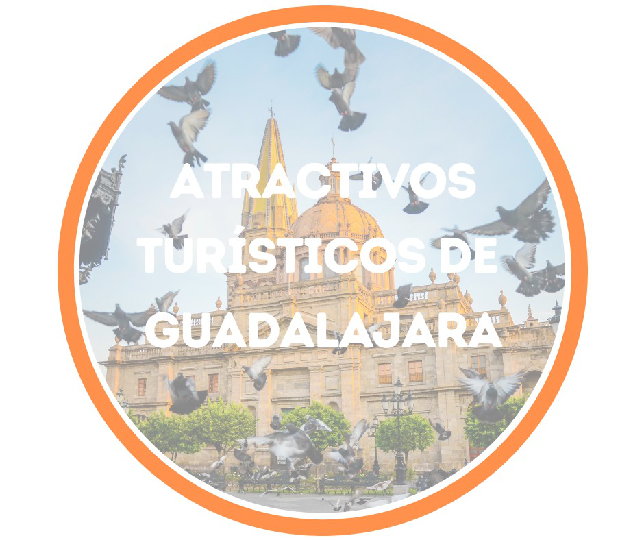 Renta de camionetas con chofer para viajes a Guadalajara