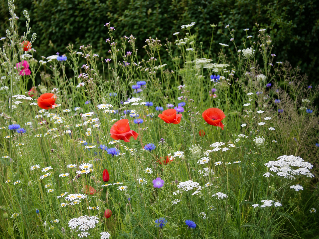 Unterkünfte für Gartenreisen in Südengland finden in London, Kent, Sussex, den Cotswolds, Bath, Wiltshire