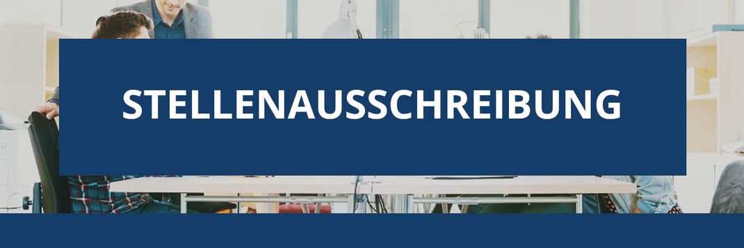 JOBS BEI DESOLIC