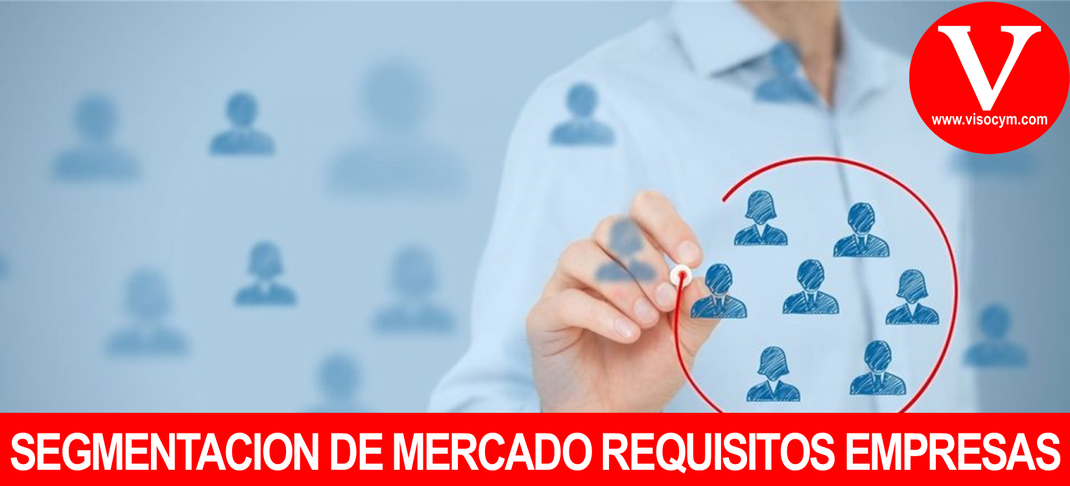 Segmentación de Mercado requisitos con los que debe cumplir la empresa