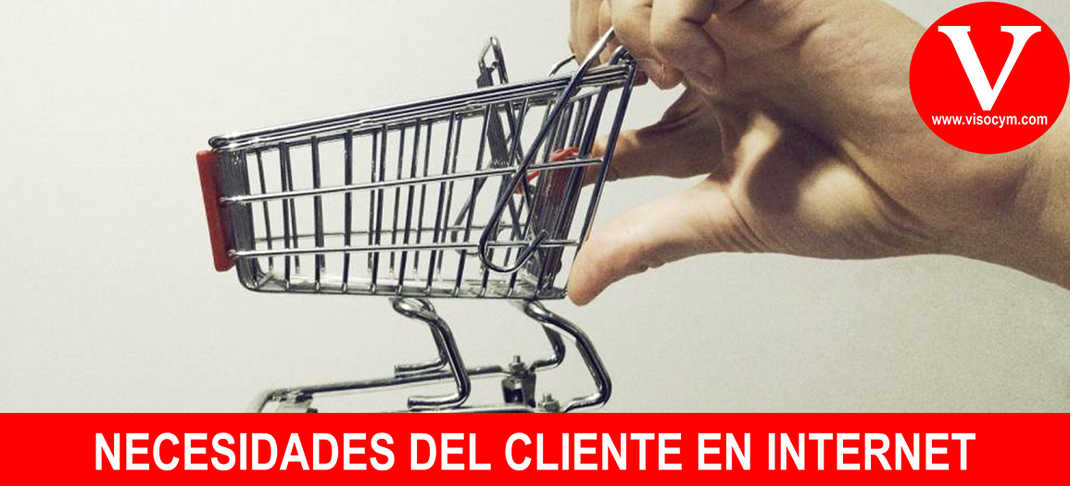 NECESIDADES DEL CLIENTE EN INTERNET