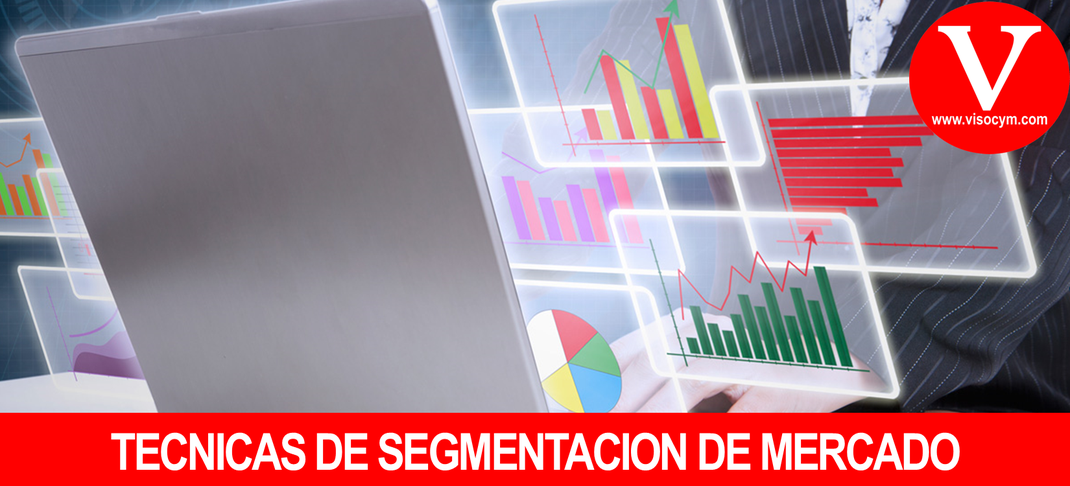 TECNICAS DE SEGMENTACION DE MERCADO
