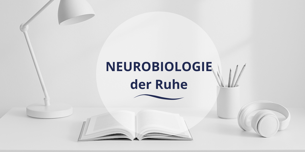 Minimalistischer Schreibtisch mit Kopfhörern, Tasse und Pflanze – Fokus und Ruhe durch Weißes Rauschen